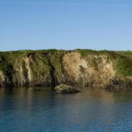 Dolphin - Holiday home *